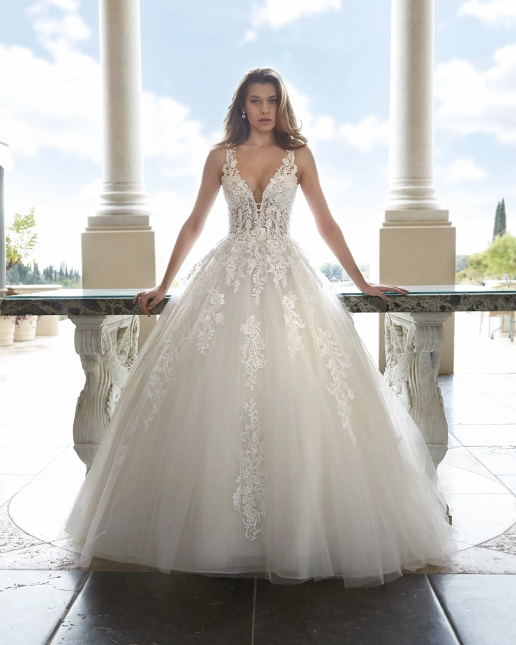 Demetrios 1204