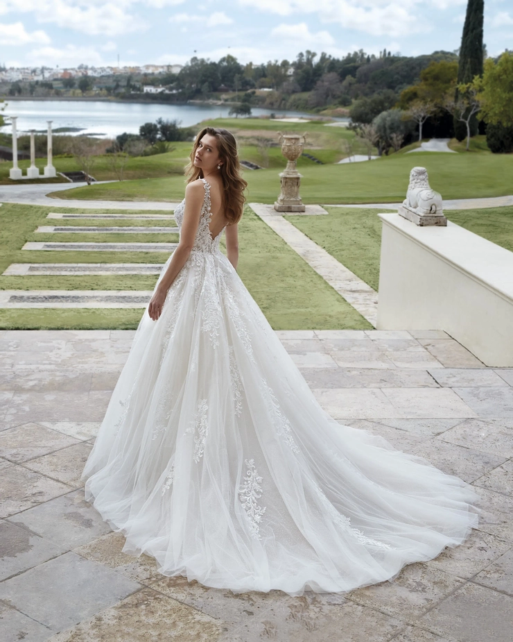 Demetrios 1204