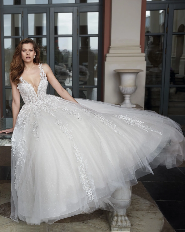 Demetrios 1204