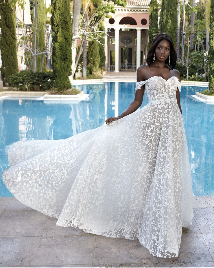 Demetrios 1205