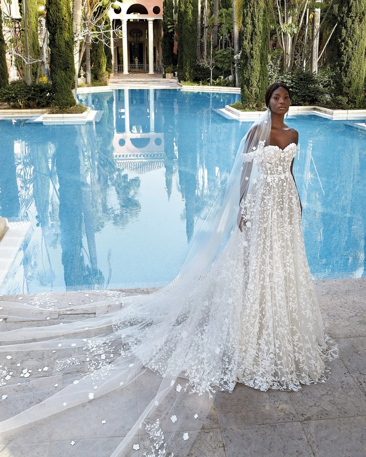 Demetrios 1205