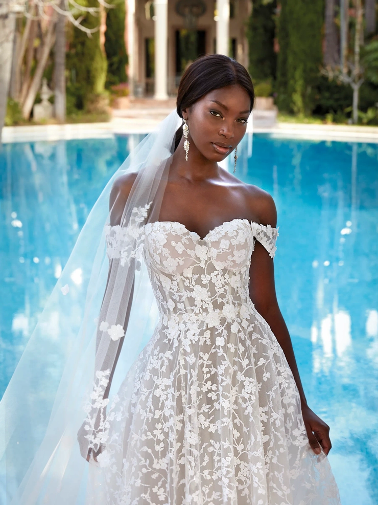 Demetrios 1205