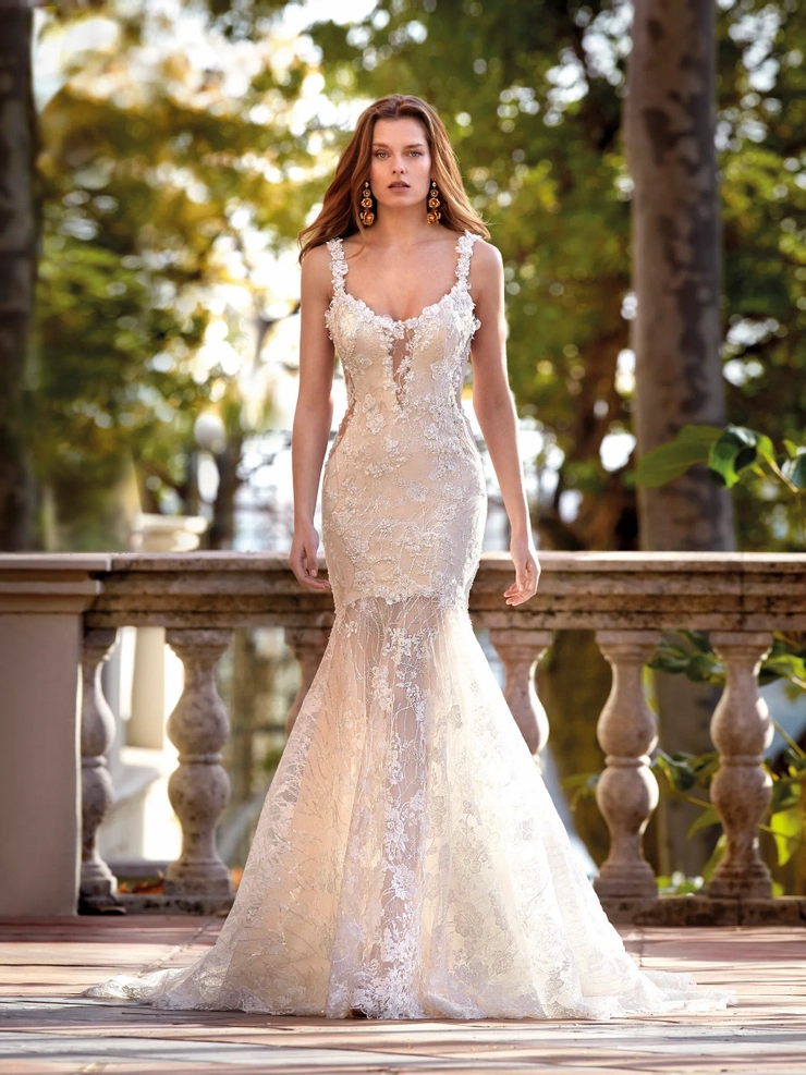 Demetrios 1206