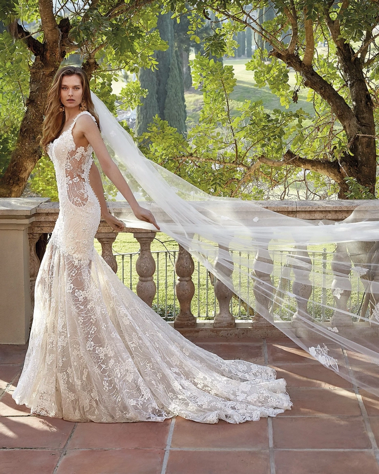 Demetrios 1206