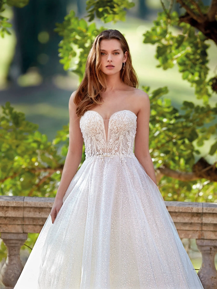 Demetrios 1207