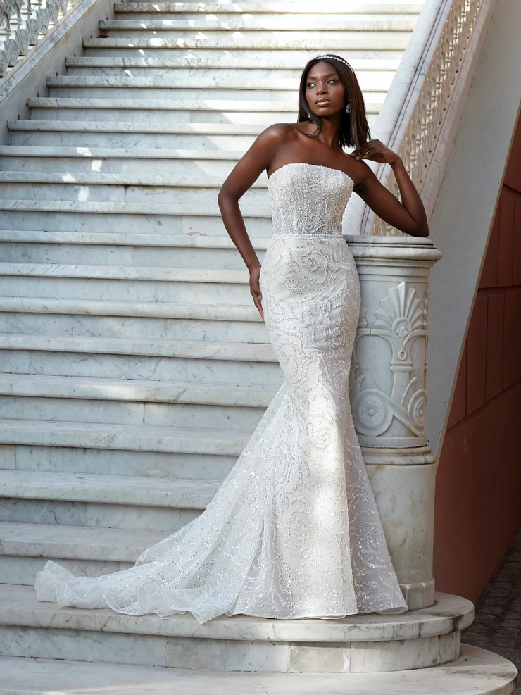 Demetrios 1208