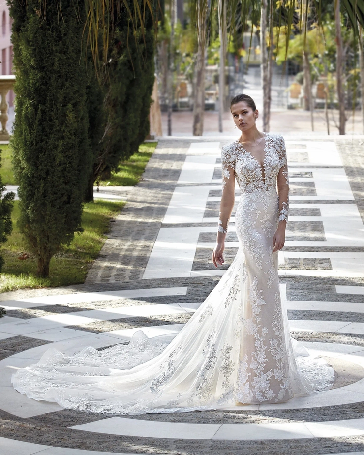 Demetrios 1209
