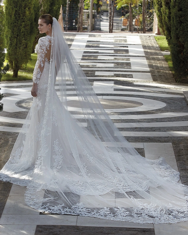 Demetrios 1209