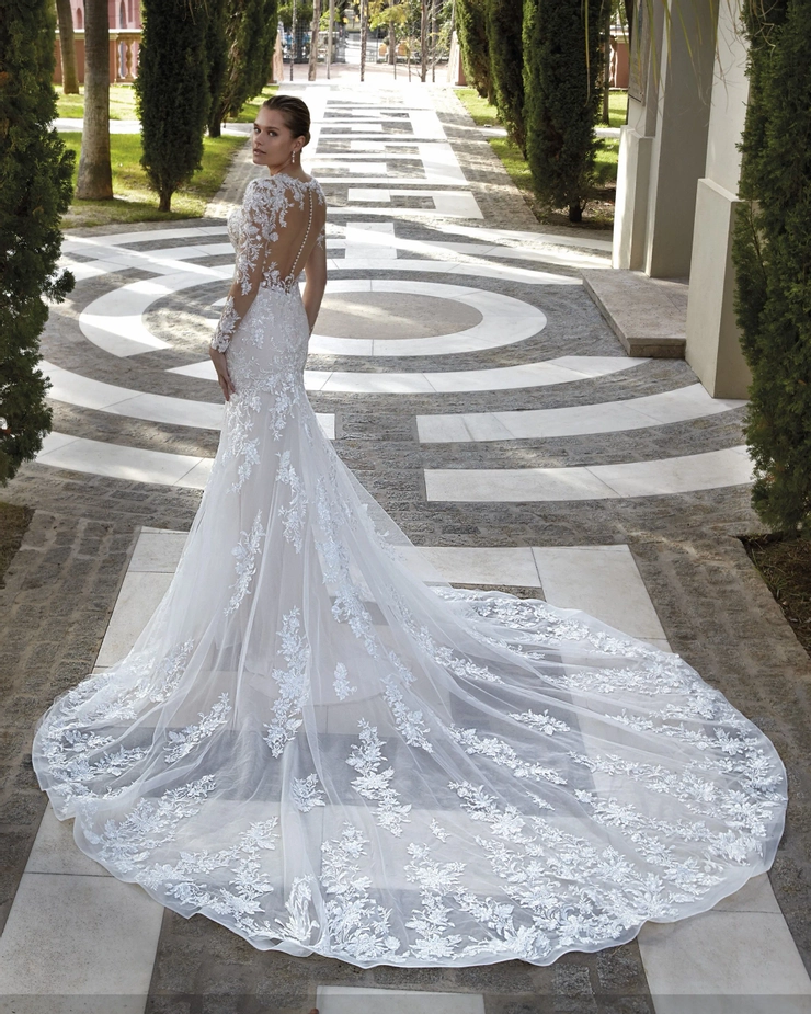 Demetrios 1209