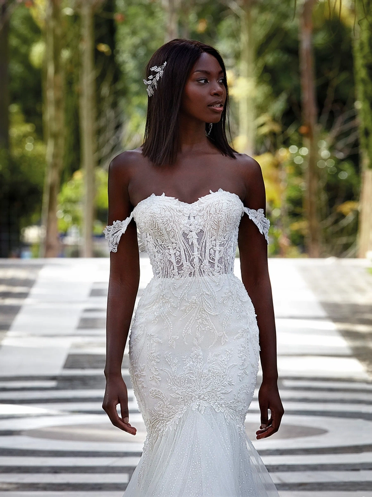 Demetrios 1211