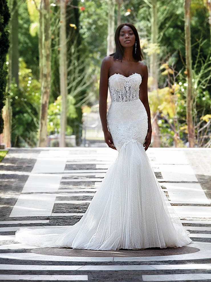 Demetrios 1211