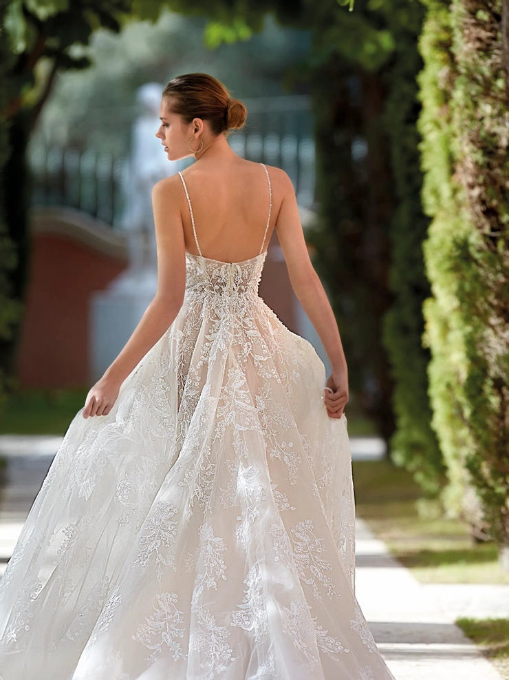 Demetrios 1212
