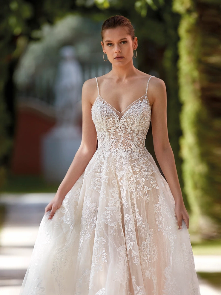 Demetrios 1212
