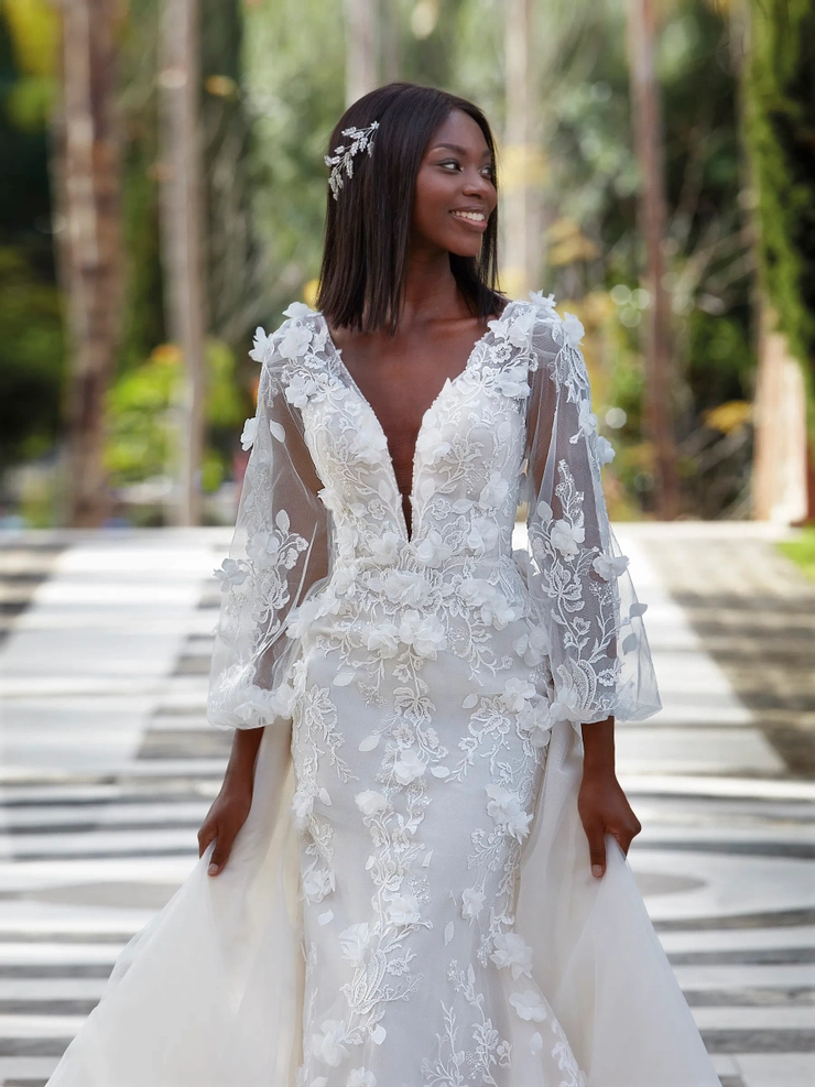 Demetrios 1213