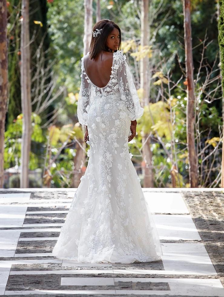 Demetrios 1213