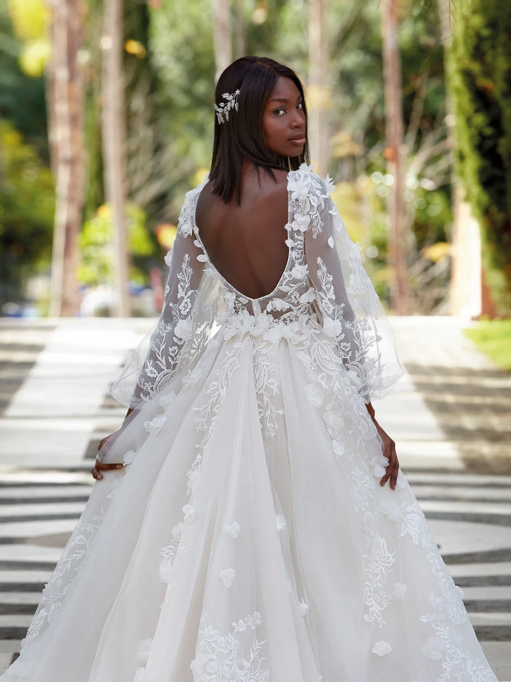 Demetrios 1213