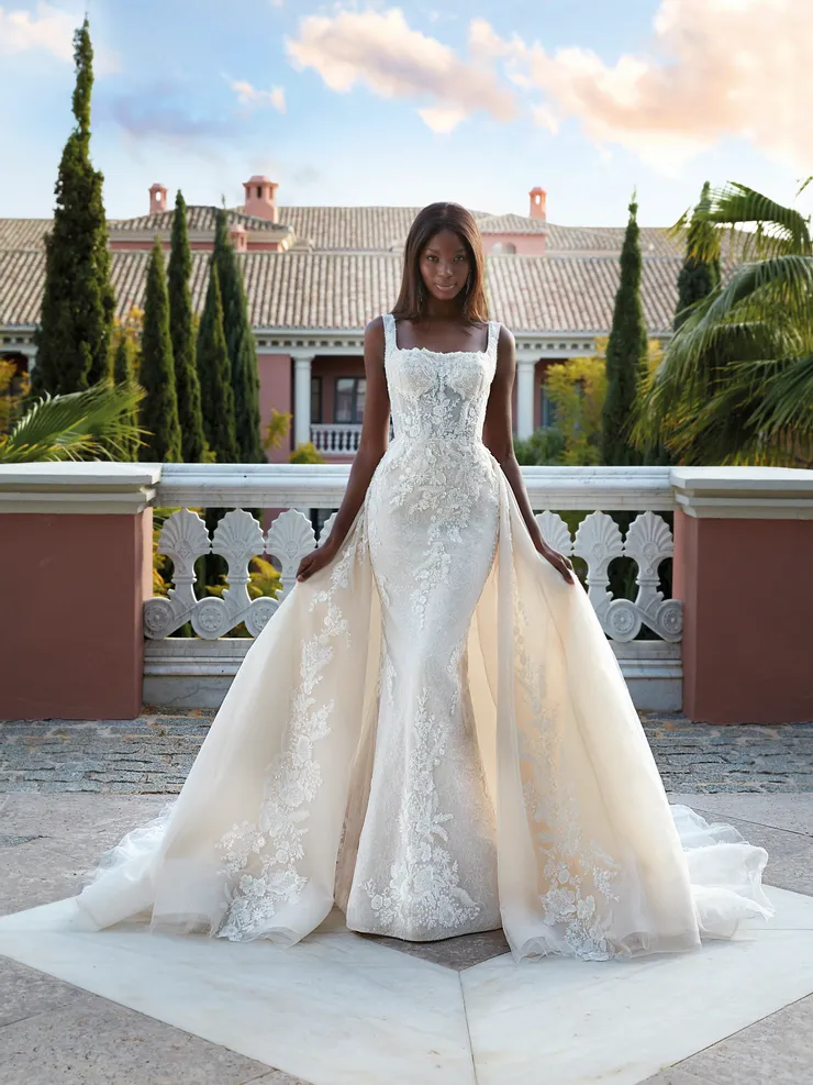 Demetrios 1215