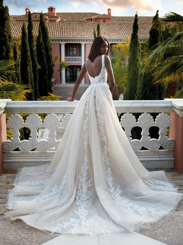 Demetrios 1215