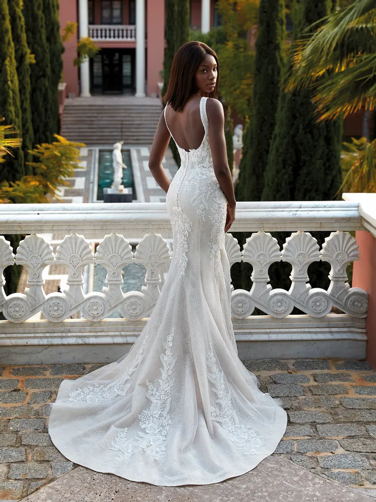 Demetrios 1215