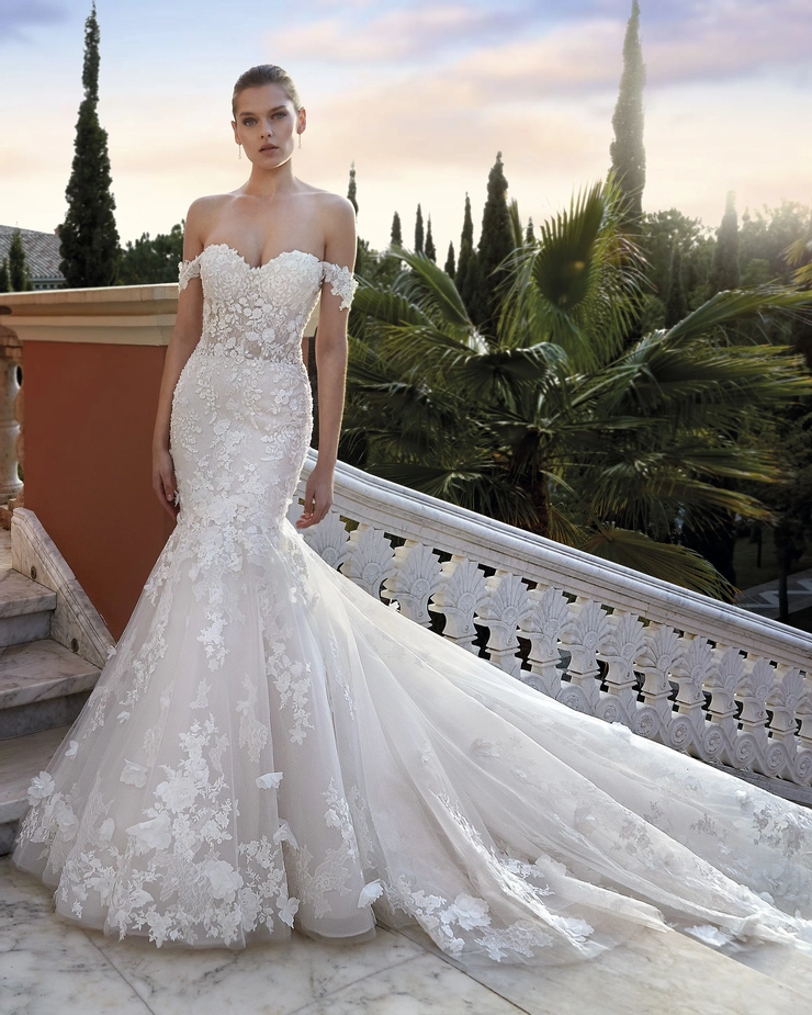 Demetrios 1217
