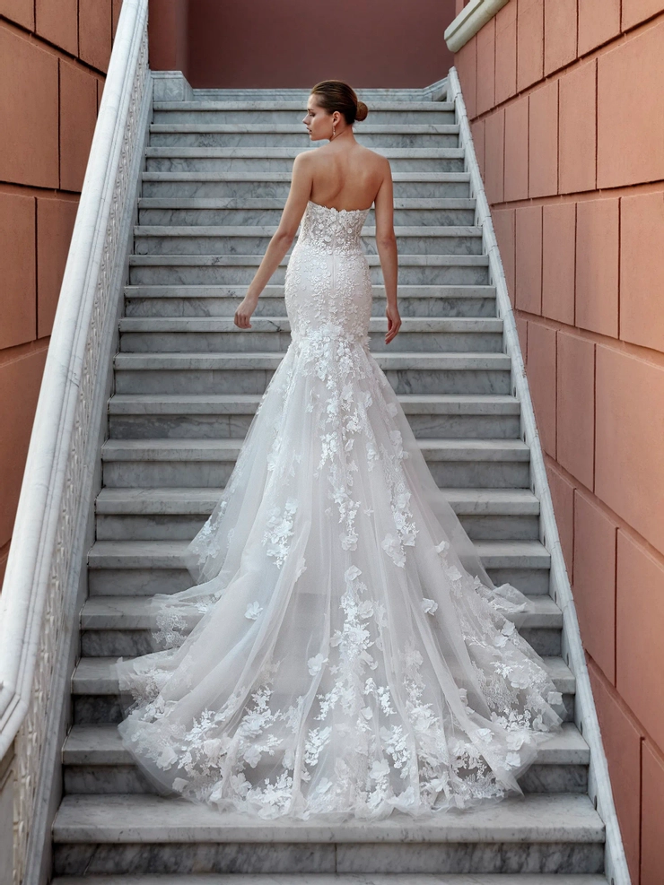 Demetrios 1217