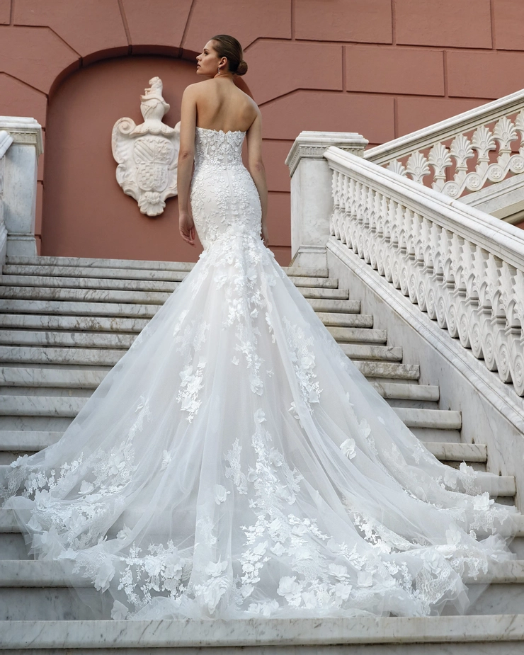Demetrios 1217