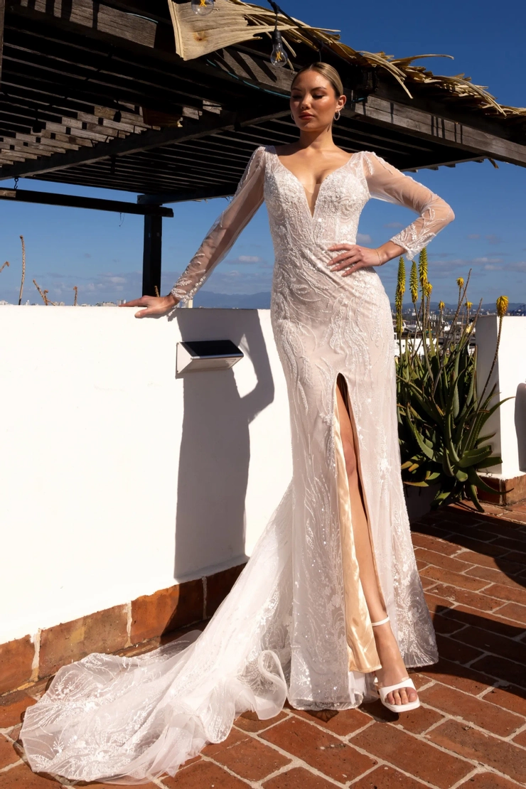 JH Bridal By Jimme Huang | Lace & Veil Bridal Boutique - BG-101080 | Lace &  Veil Bridal Boutique
