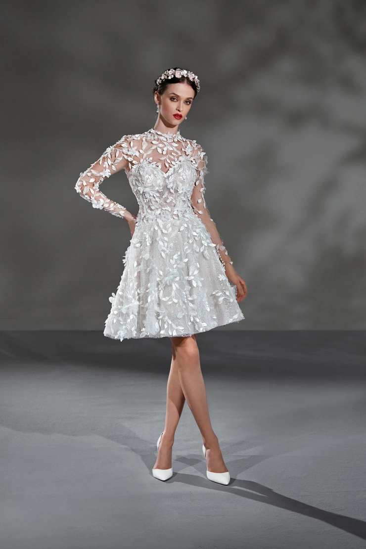 Demetrios AM23