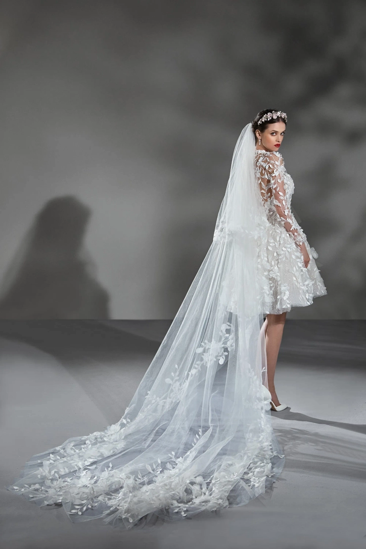 Demetrios AM23