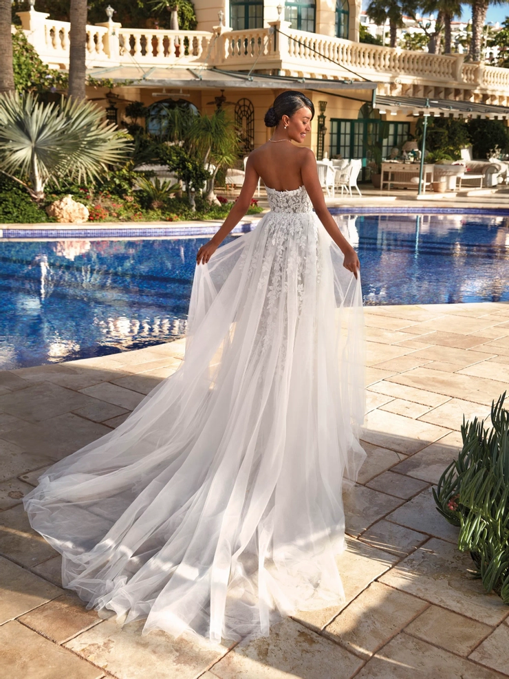Demetrios 1218