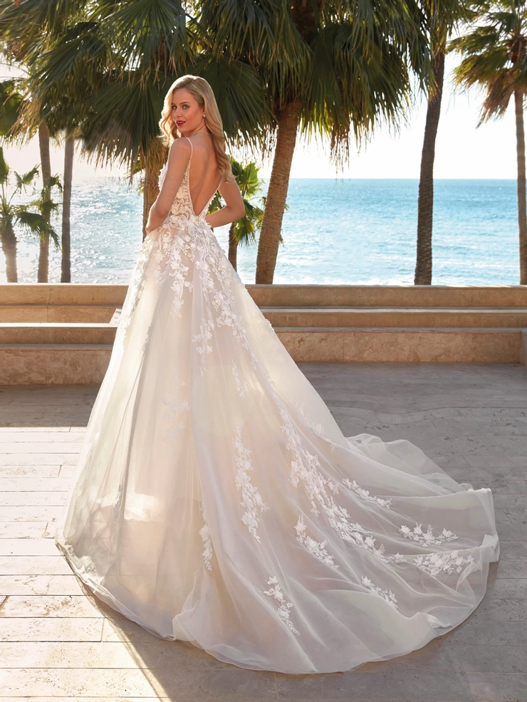 Demetrios 1221