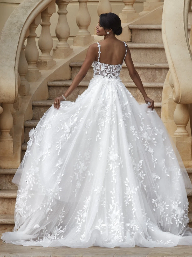 Demetrios 1223