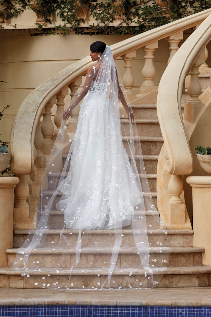 Demetrios 1223