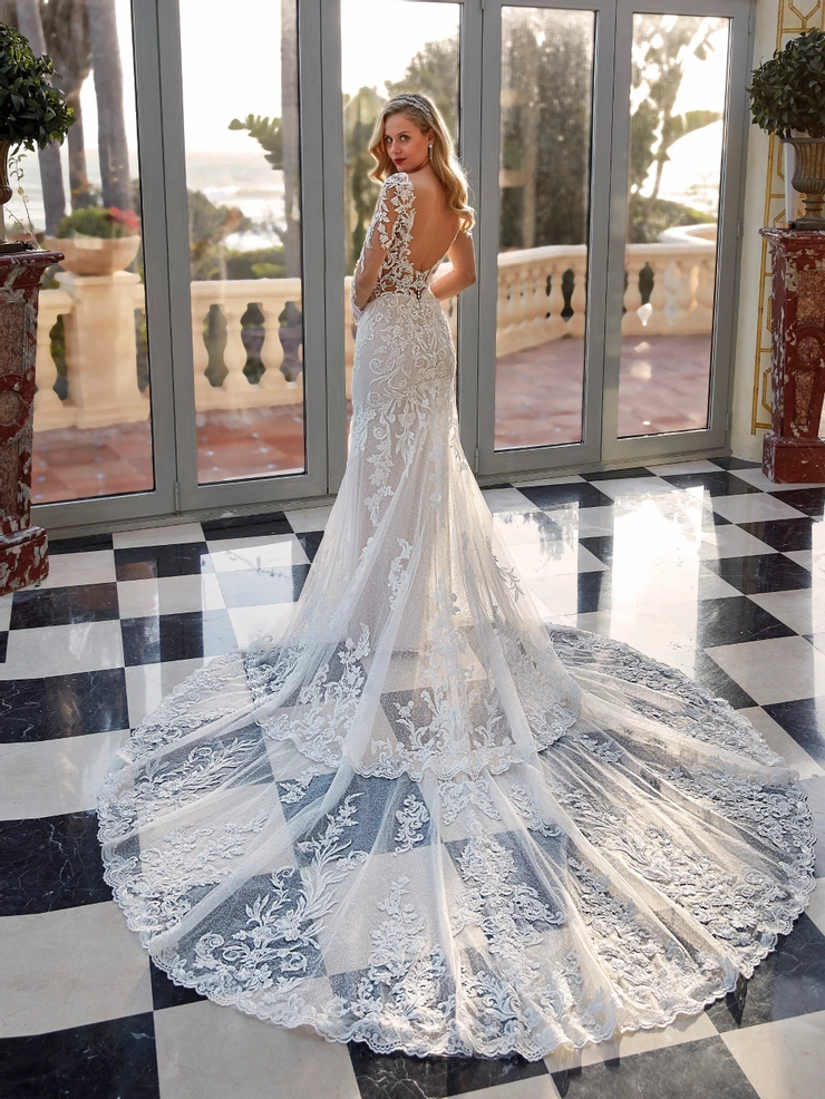 Demetrios 1229