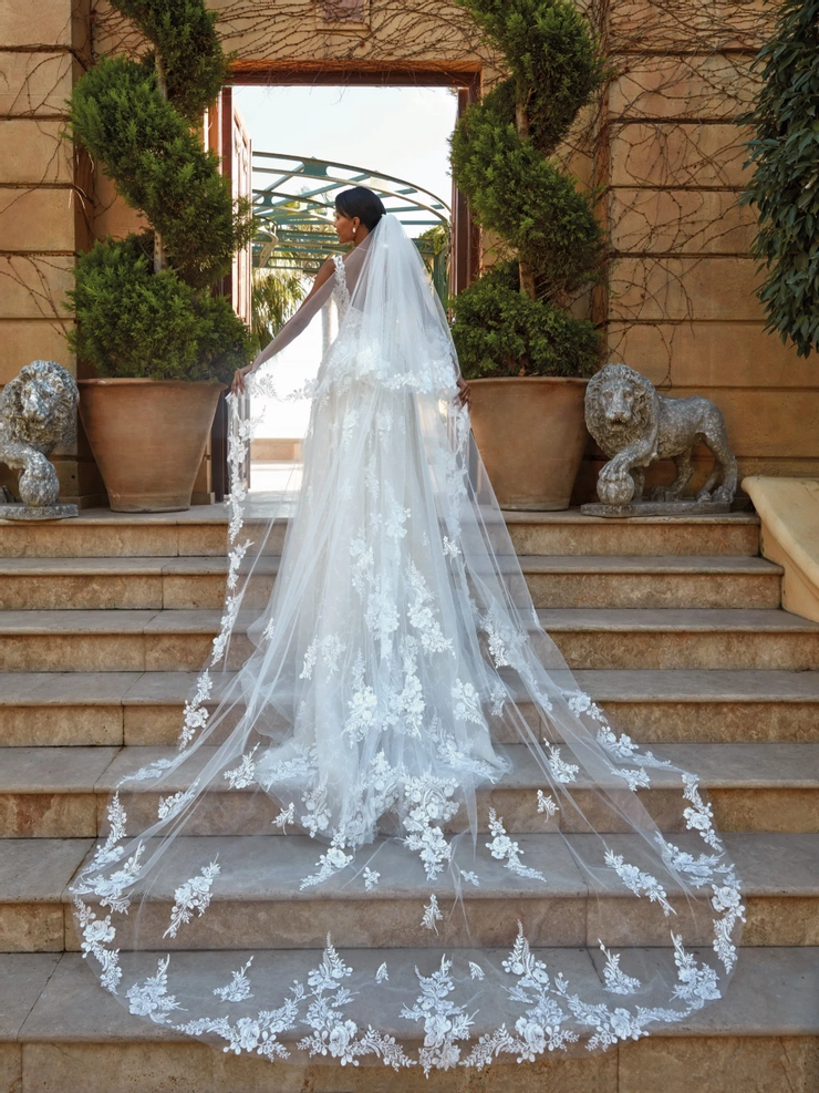 Demetrios 1232