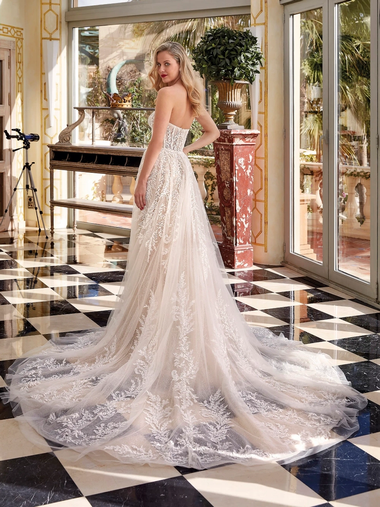 Demetrios 1234