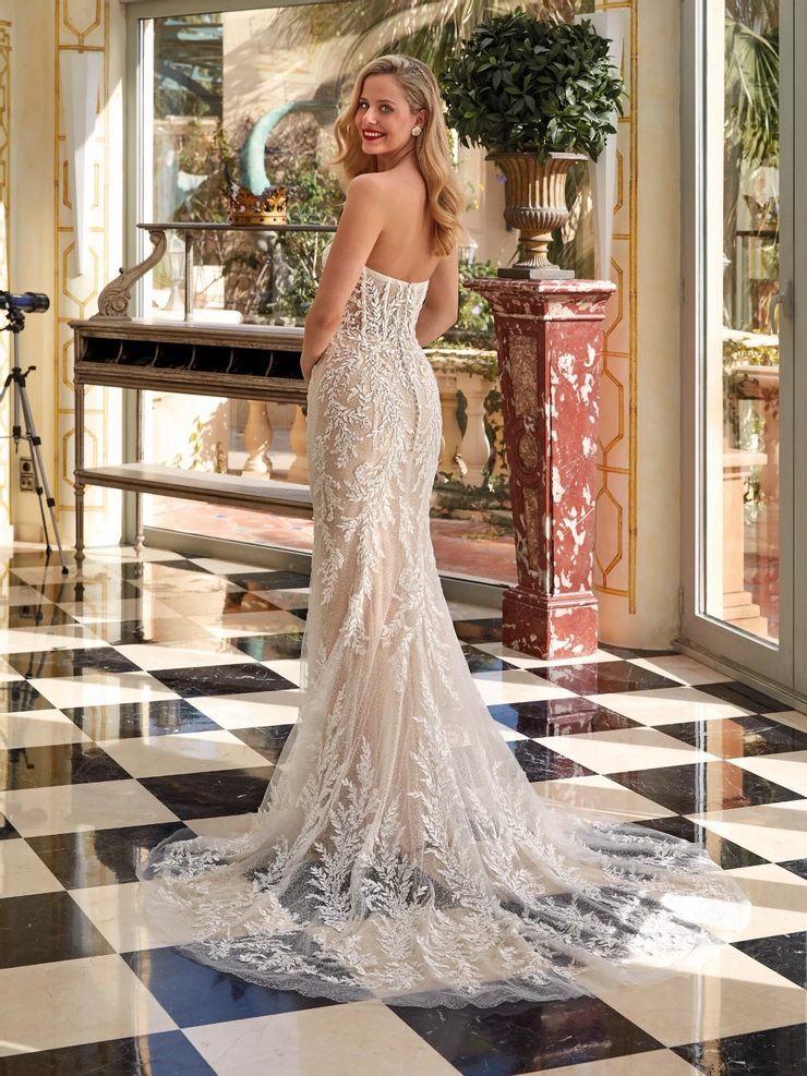Demetrios 1234