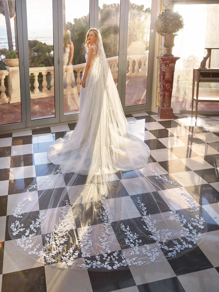 Demetrios 1235