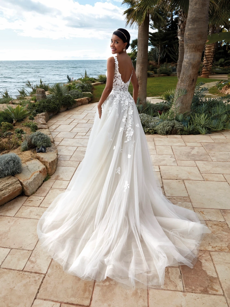 Demetrios 1236