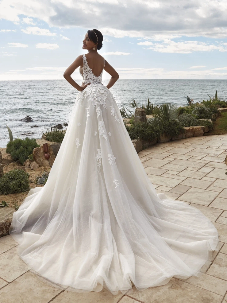Demetrios 1236