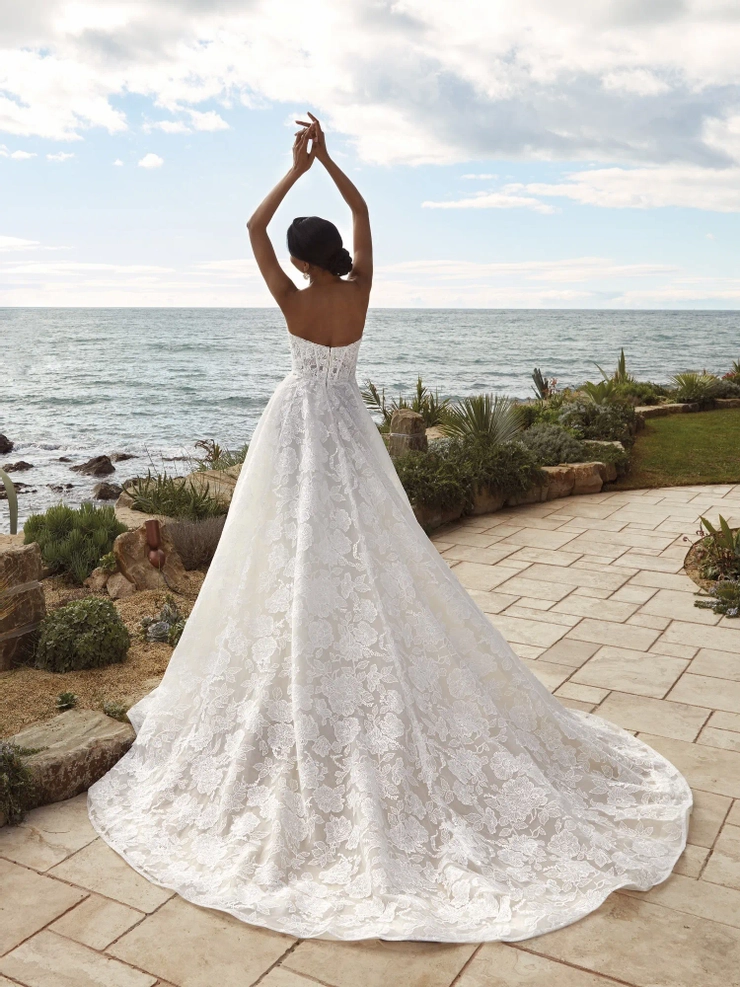 Demetrios 1238