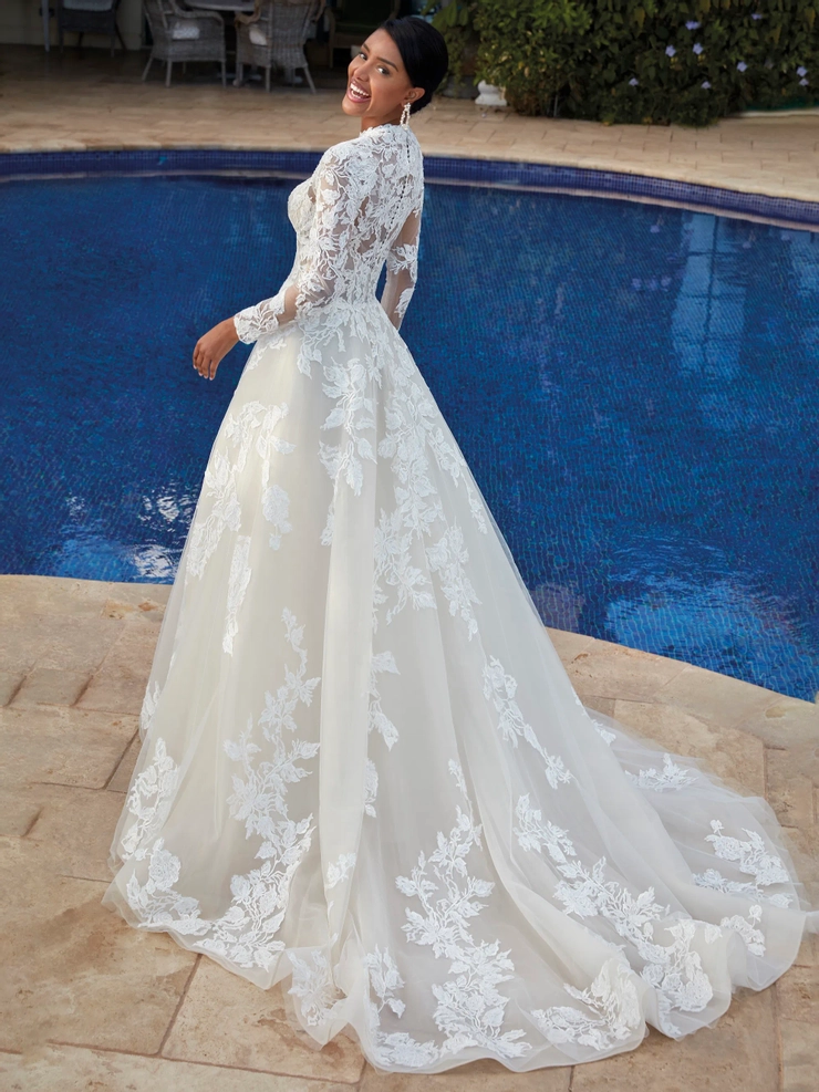Demetrios 1241