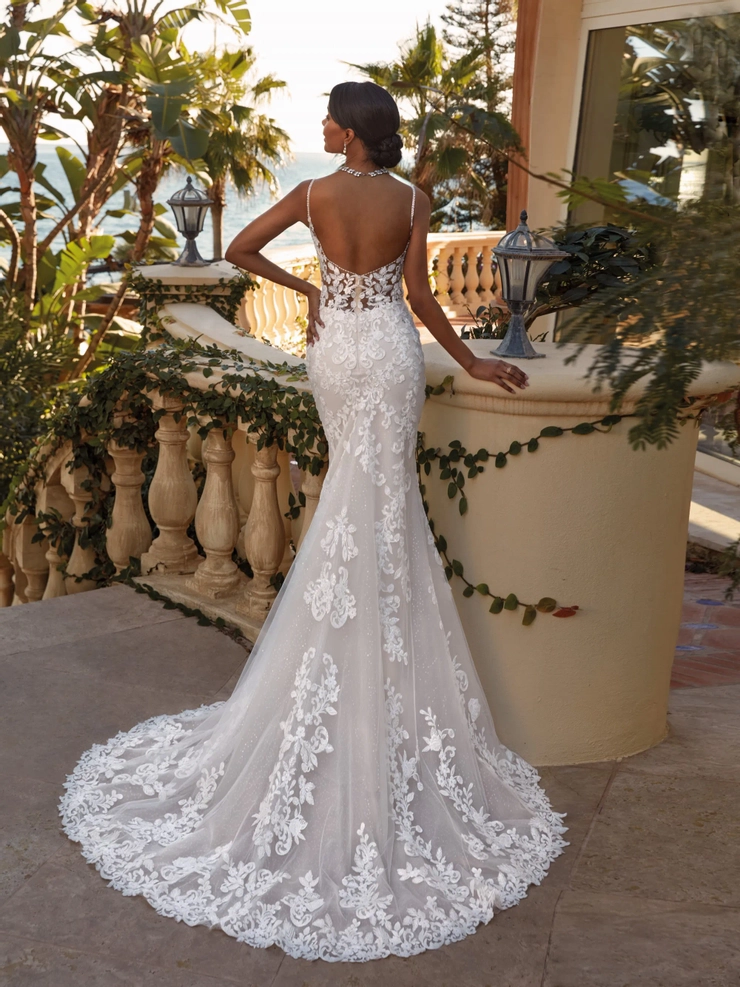 Demetrios 1242
