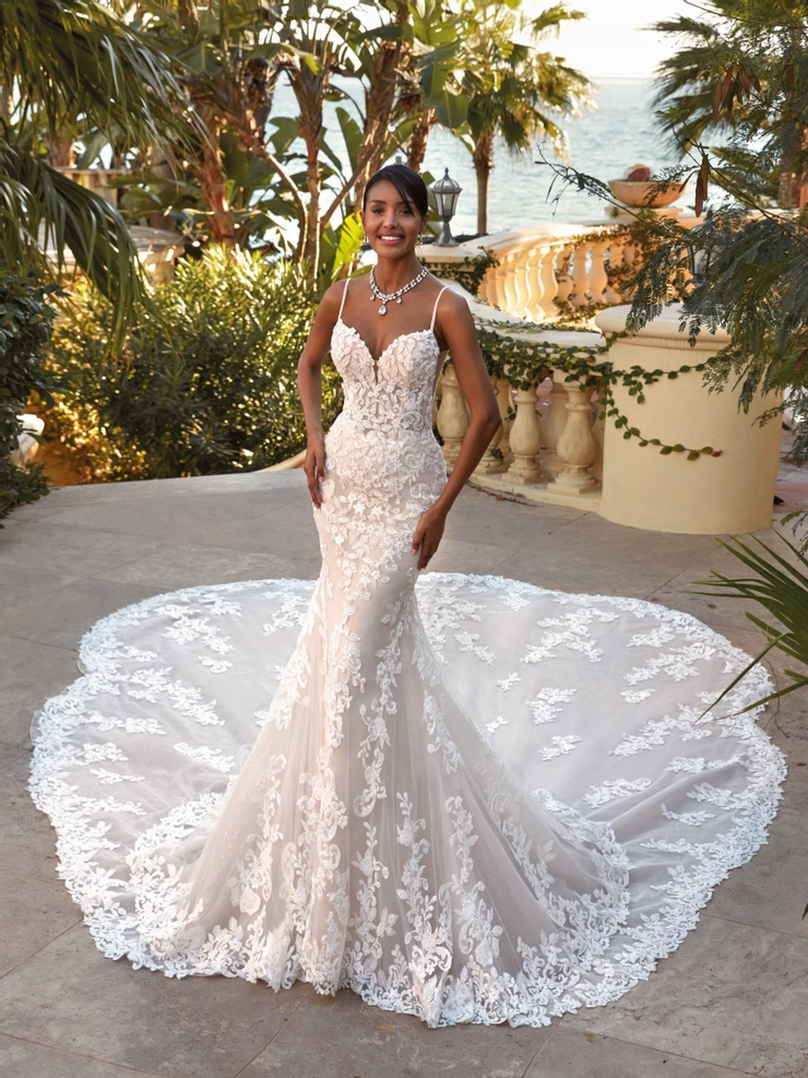 Demetrios Style #1242 #1 frontface vertical picture