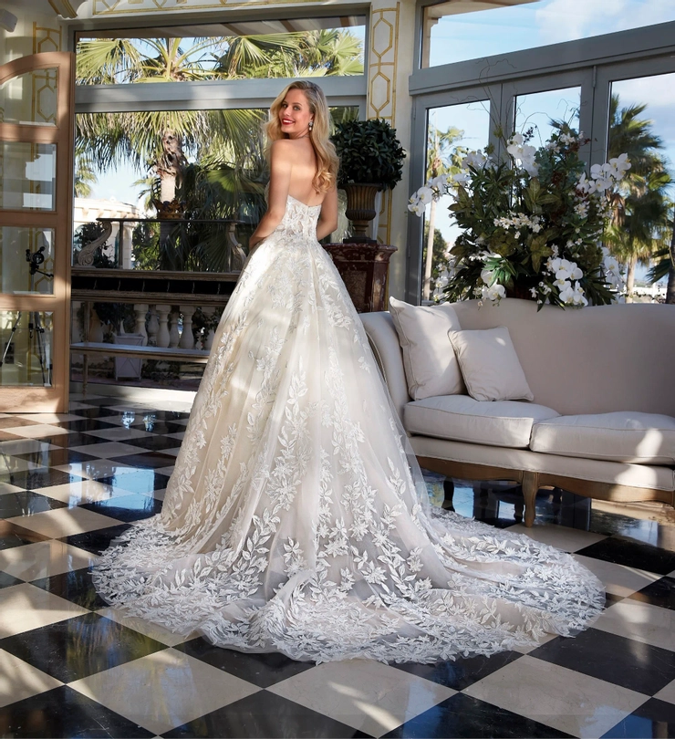Demetrios 1243