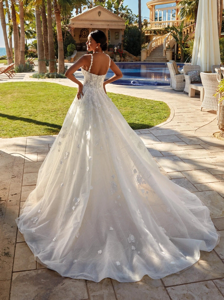 Demetrios 1245