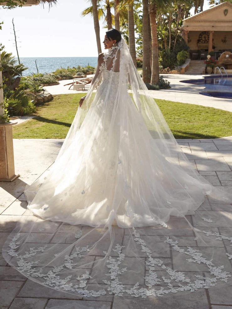 Demetrios Style #1245 #1 backface vertical picture