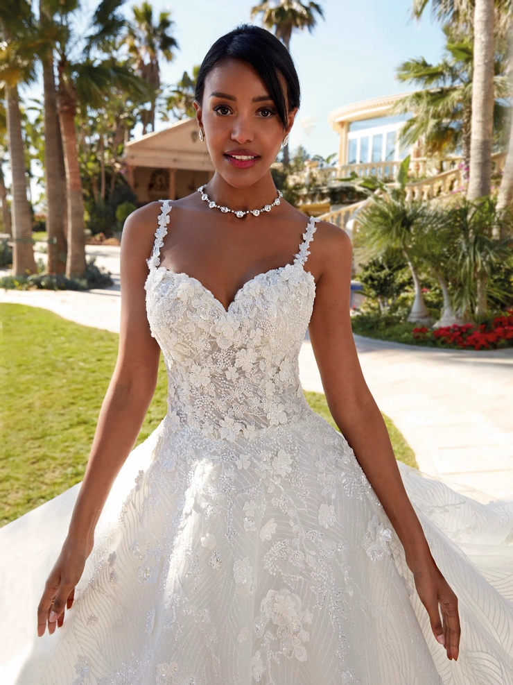 Demetrios Style #1245 #3 frontface vertical cropped picture