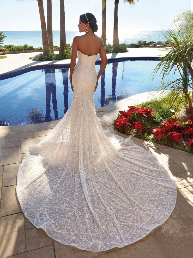 Demetrios 1248