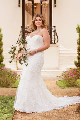 Stella York Reign